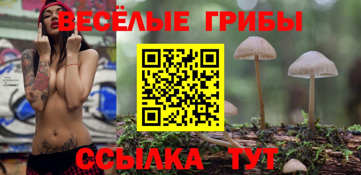 Псилоцибиновые грибы мухоморы Ступино